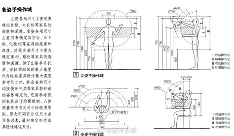 站立視線高度|人体工程学如何助力您舒适地工作 